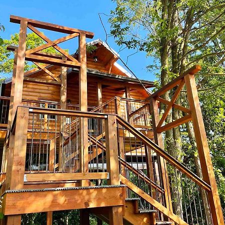 Cricket Hill Treehouse By Amish Country Lodging ミラーズバーグ エクステリア 写真