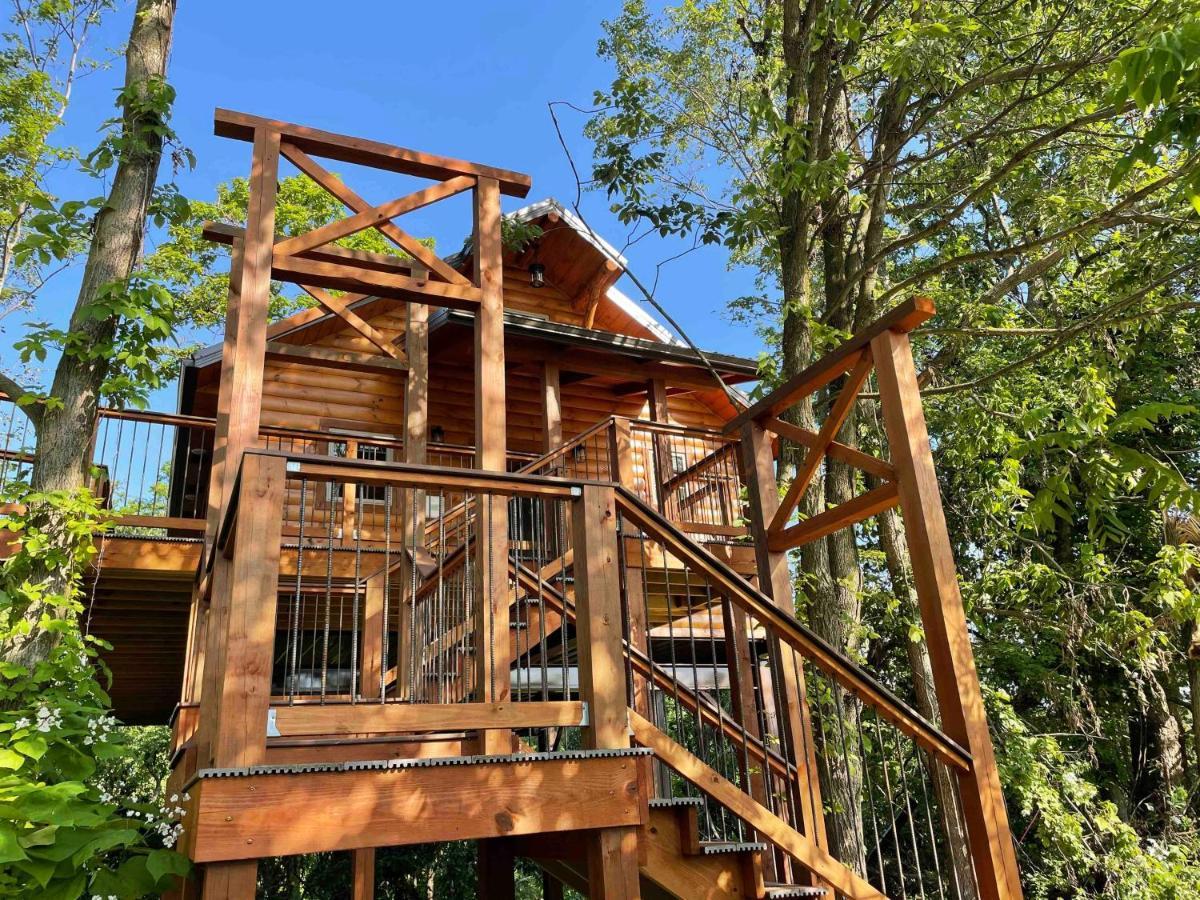 Cricket Hill Treehouse By Amish Country Lodging ミラーズバーグ エクステリア 写真